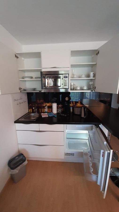 Appartements Am Schillergarten เดรสเดน ภายนอก รูปภาพ