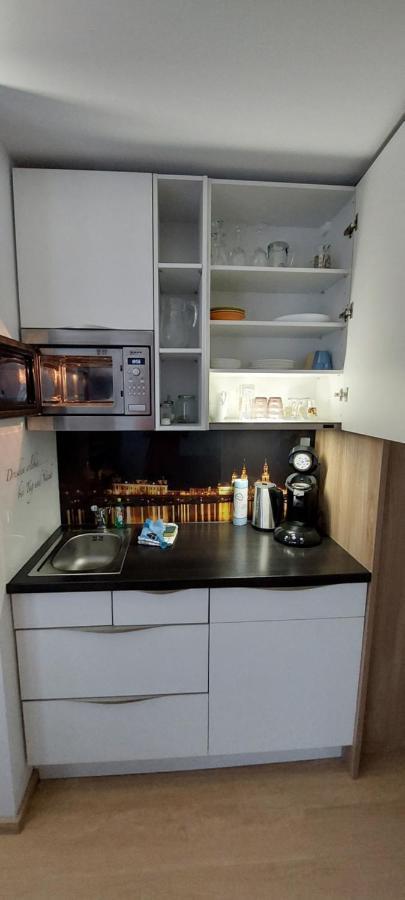 Appartements Am Schillergarten เดรสเดน ภายนอก รูปภาพ