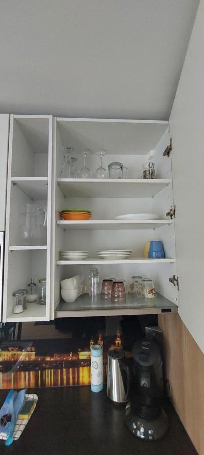 Appartements Am Schillergarten เดรสเดน ภายนอก รูปภาพ