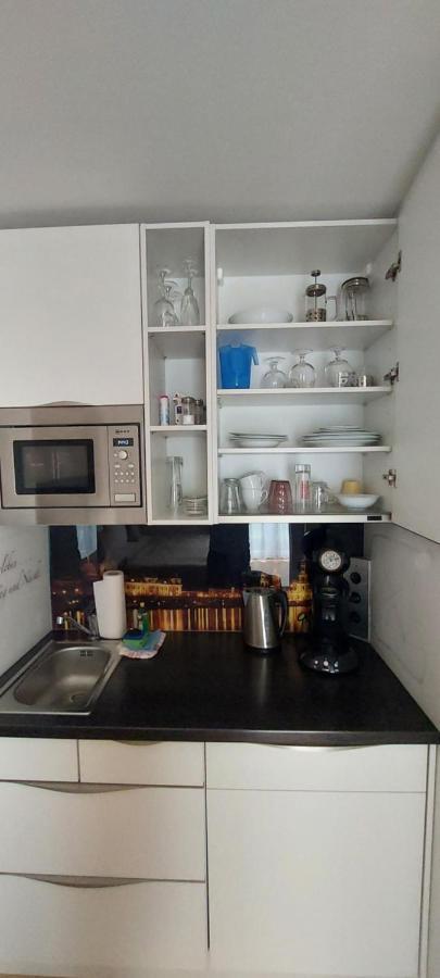 Appartements Am Schillergarten เดรสเดน ภายนอก รูปภาพ